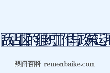 敌占区的组织工作与政策运用是什么意思的图片